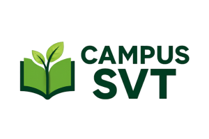 campus-svt.com